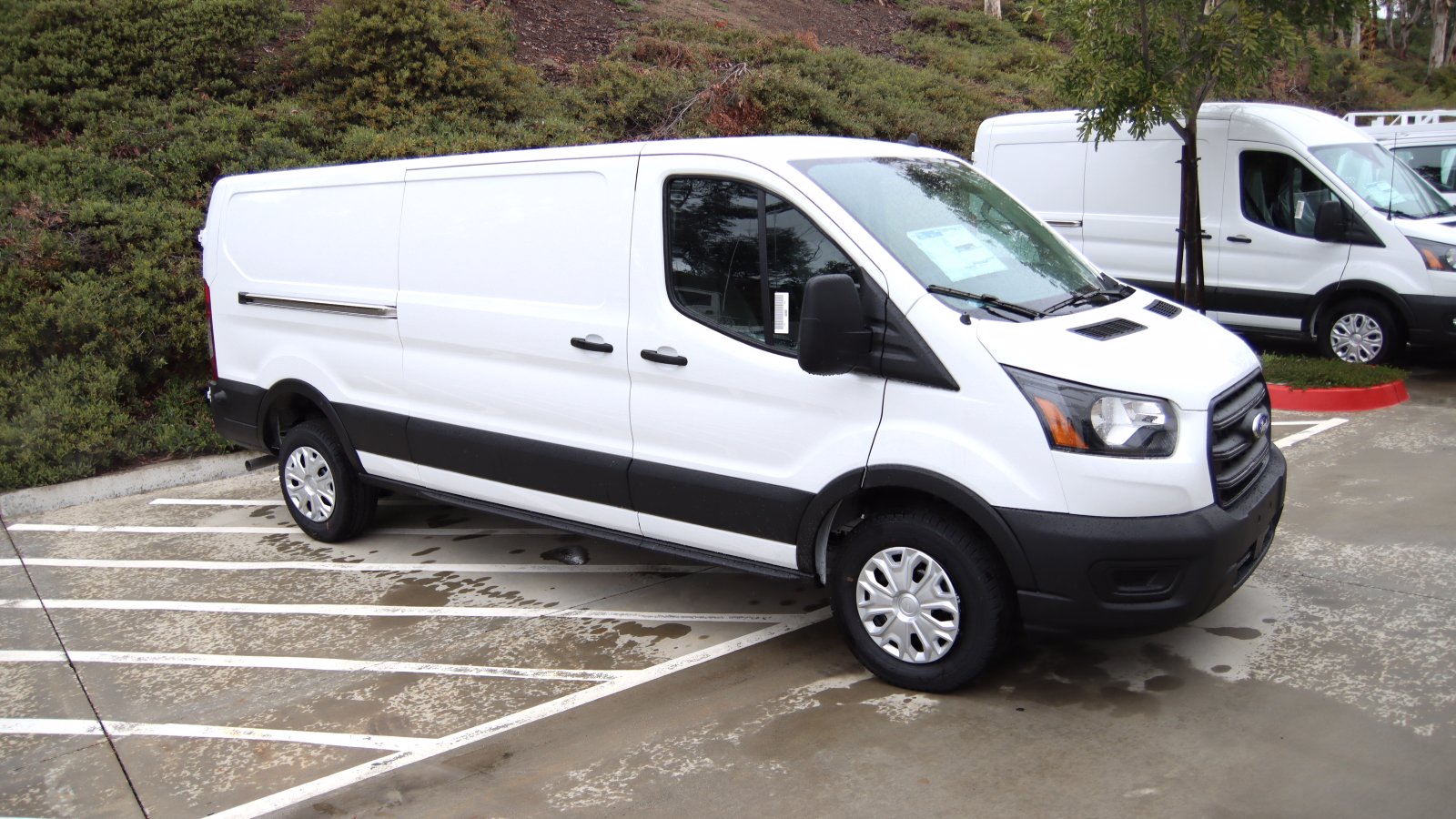 Ford transit cargo van